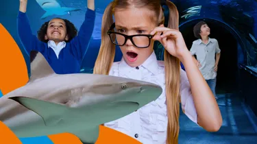 SEA LIFE Schools Image 1200X700