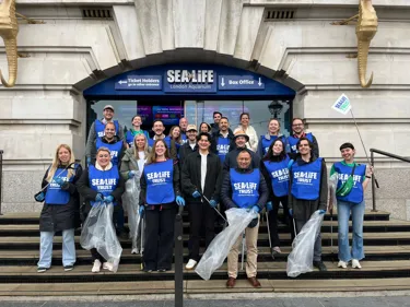 8Dab43bd 50D6 4Aa8 9E1a Cc3f5a04b1db