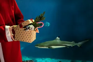 Geschenkticket360x276px