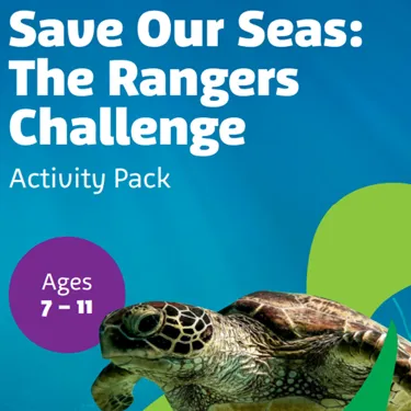 Pack Age 7 11Yrs 776X753
