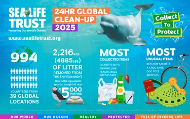 GCU 2025 Results Infographic (1) (1)