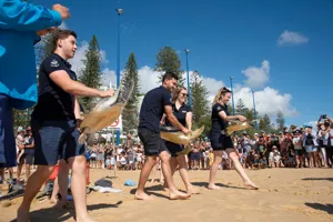 SLSC Turtlerelease2