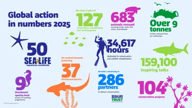2025 Globalactionbynumbersfinalv2 (1)