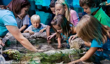 Arizona School Imagery © 2012, Leland Gebhardt, LLC