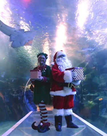 Elf and Santa in the ocean tunnel at SEA LIFE