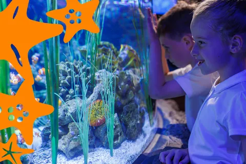 Science Sea Lessons Learning through the lens of the ocean & ocean conservation