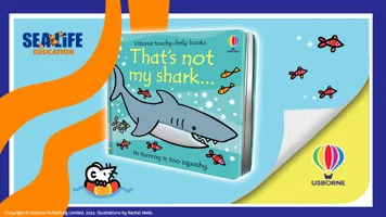 Usborne Hero 1120X630