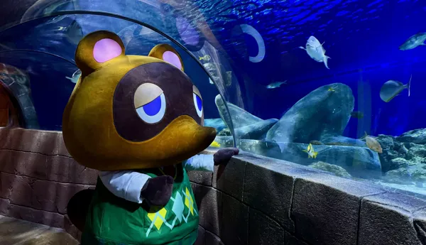 SEA LIFE Insel (2)
