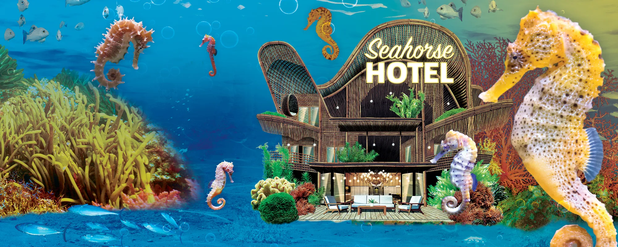 SEALIFE SEAHORSES Homepage Header 2000X800px