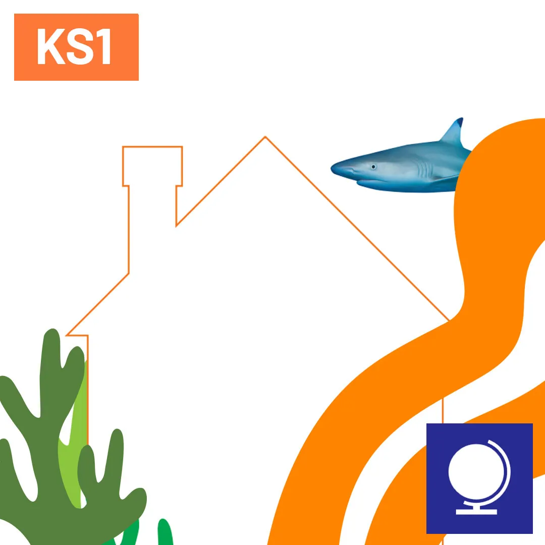 SL Creature Needs 1080X1080