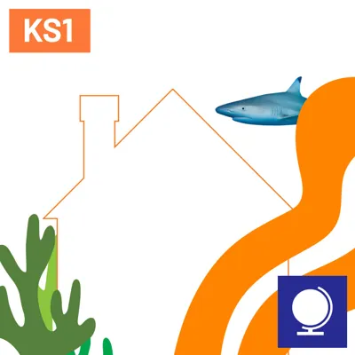 SL Creature Needs 1080X1080