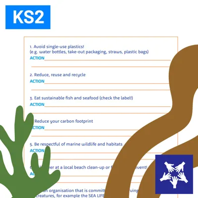 SL Sustainable Manifestos 1080X1080