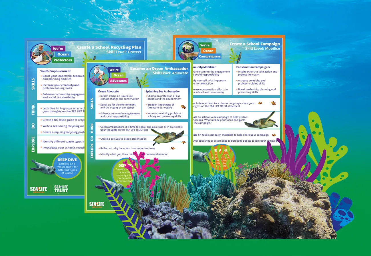 Friends Of The Sea Challenge Cards 1300X900