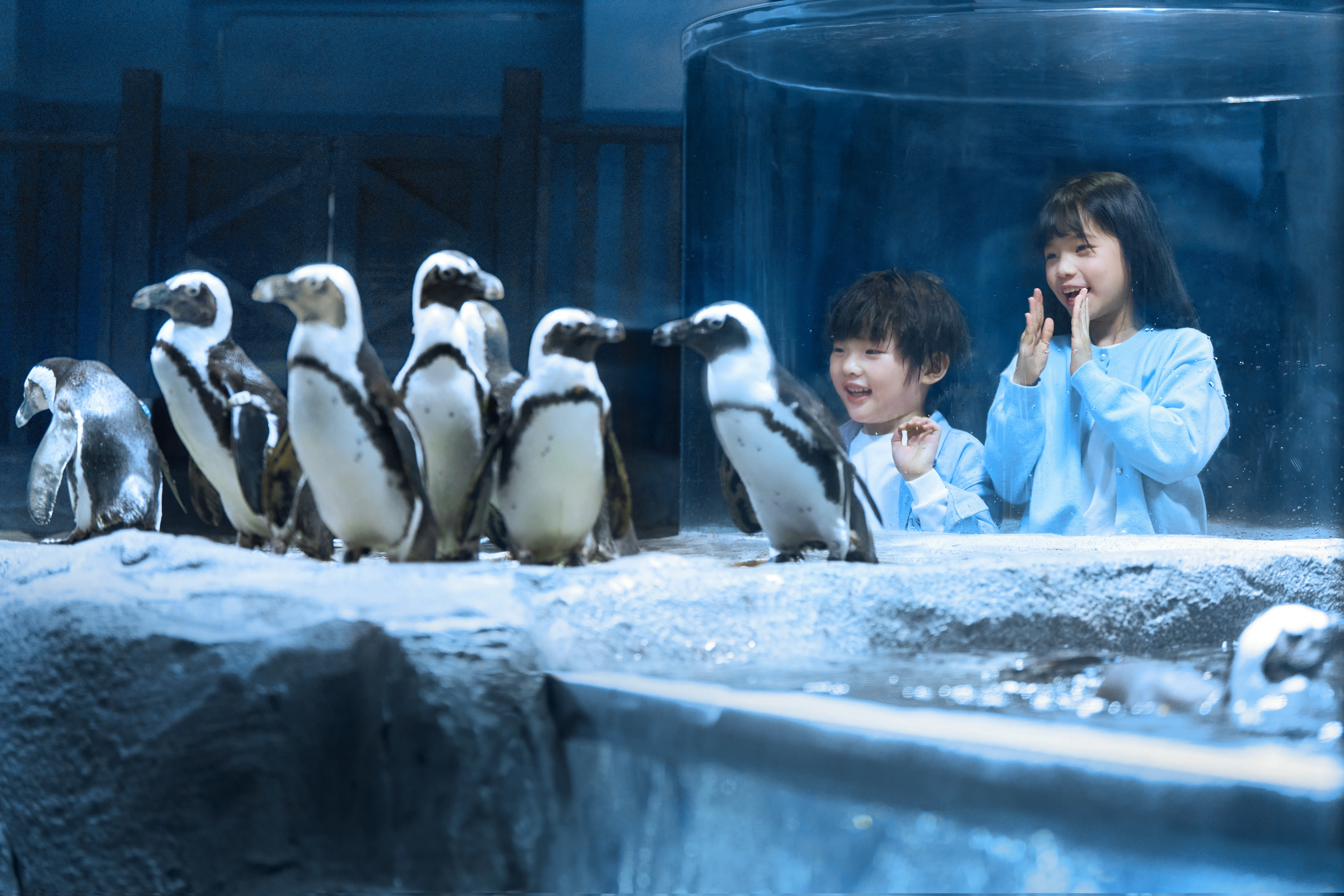 Peguin New Home
