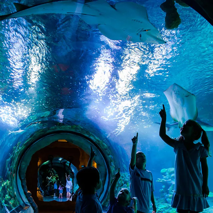 SL Blog Earth Day Hero 690X690px