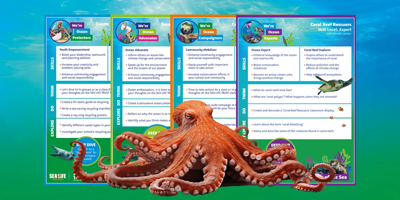 Friends To The Sea Challenge Cards 1400X700