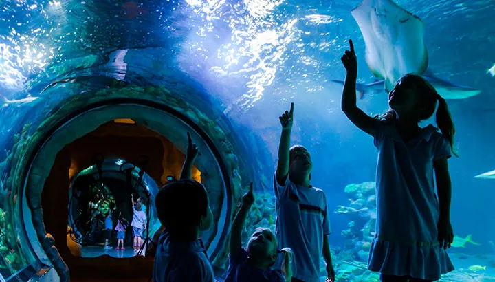 SL Blog Earth Day Hero 720X410px