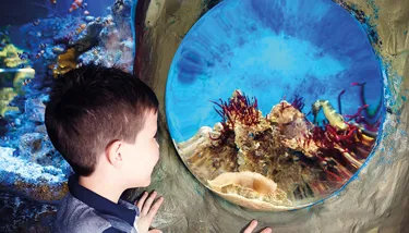 SL Blog Earth Day Image 2 720X410px