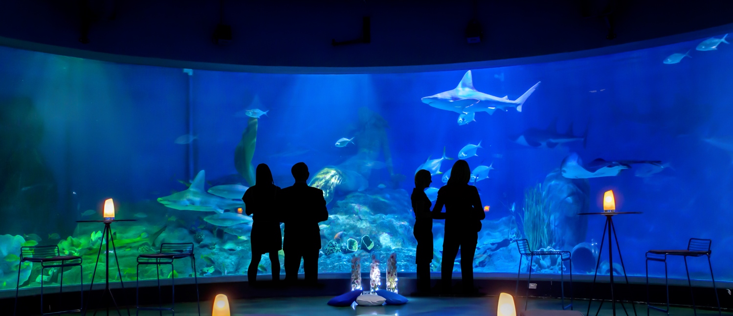 The Best Events Venue in Melbourne SEA LIFE Melbourne