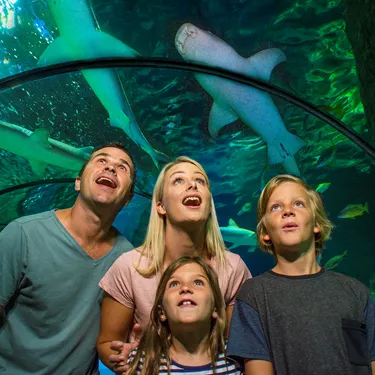 Family Oceanarium Sharks