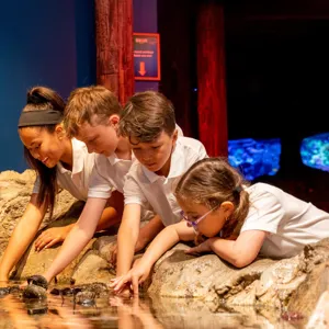 MERLIN SCHOOL 128 Handsinrockpoolcropped