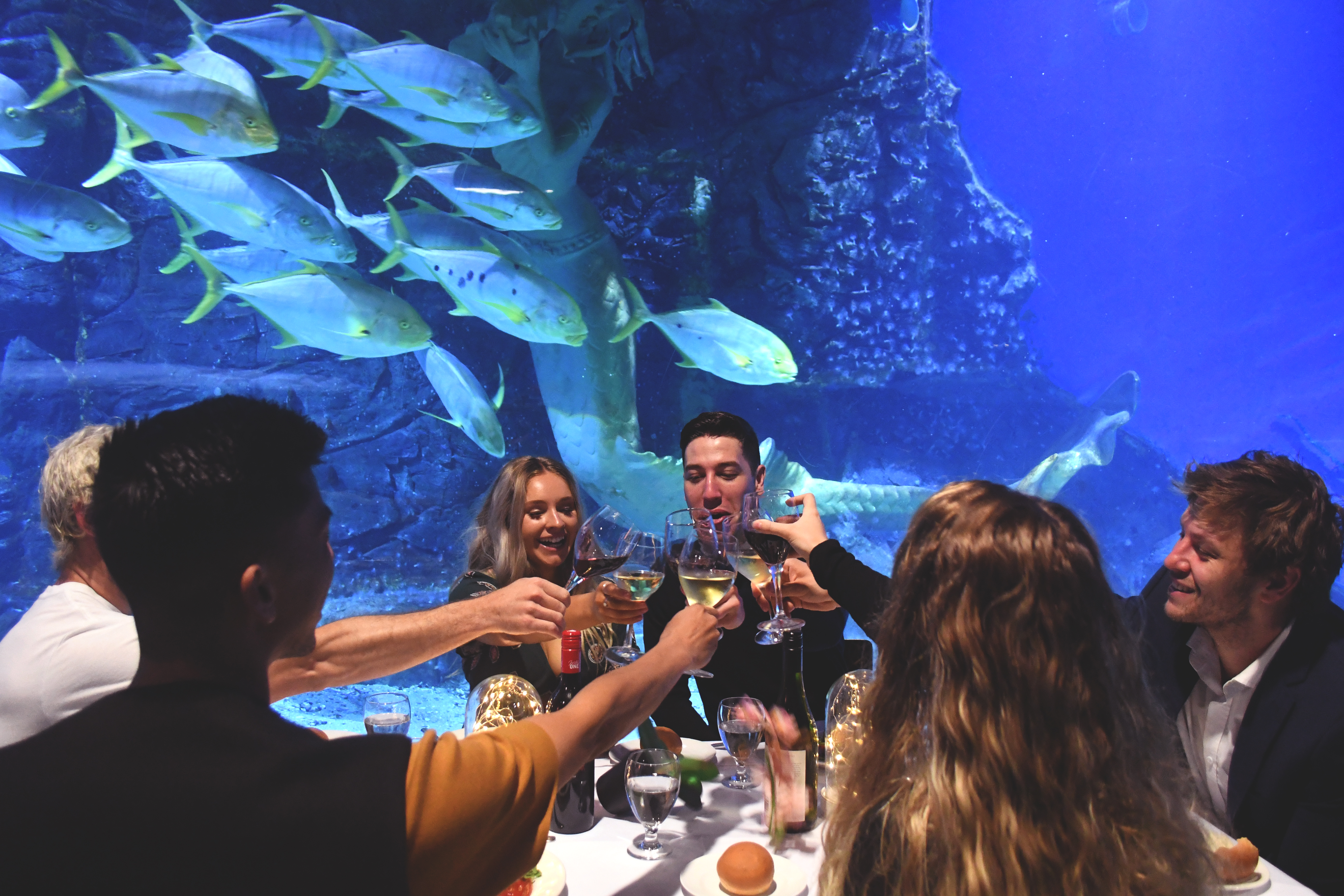 Private Dining Experience SEA LIFE Melbourne Aquarium