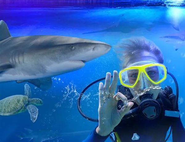 Shark Dive Xtreme