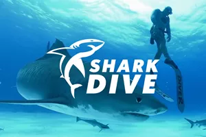 Shark Dive VR