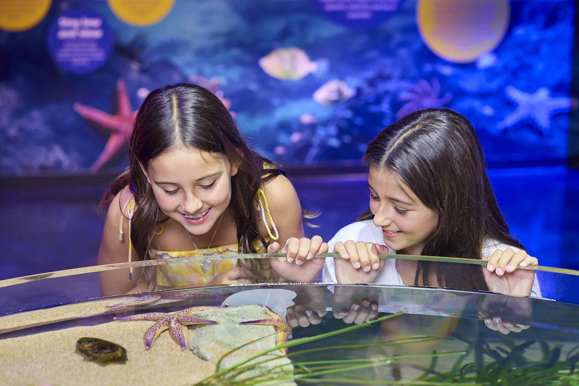 Rockpool Launch 010 KP 240925 Highlights