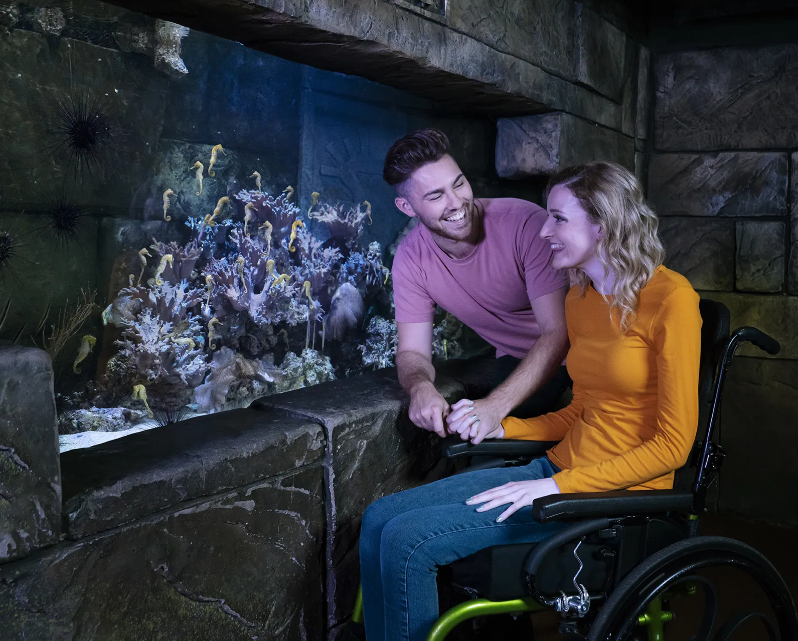 10724 Sealife Day24586 Fin V5 Crop Lo Res