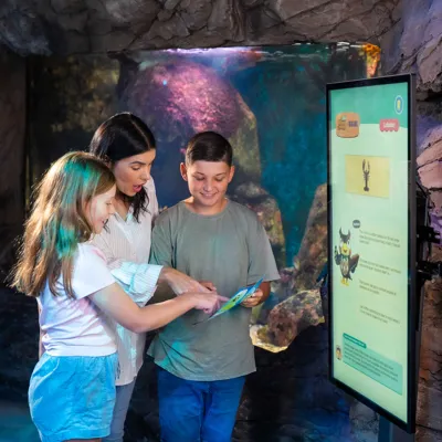 Animal Crossing Activities at SEA LIFE Sydney