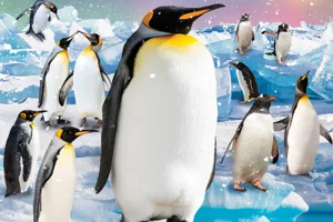 Sea-lebrate 25 Years of SEA LIFE Melbourne!
