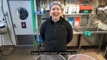 V3