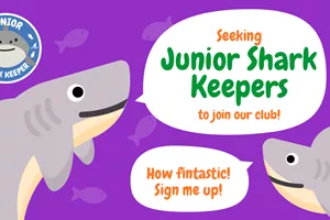 Junior Shark Keeper