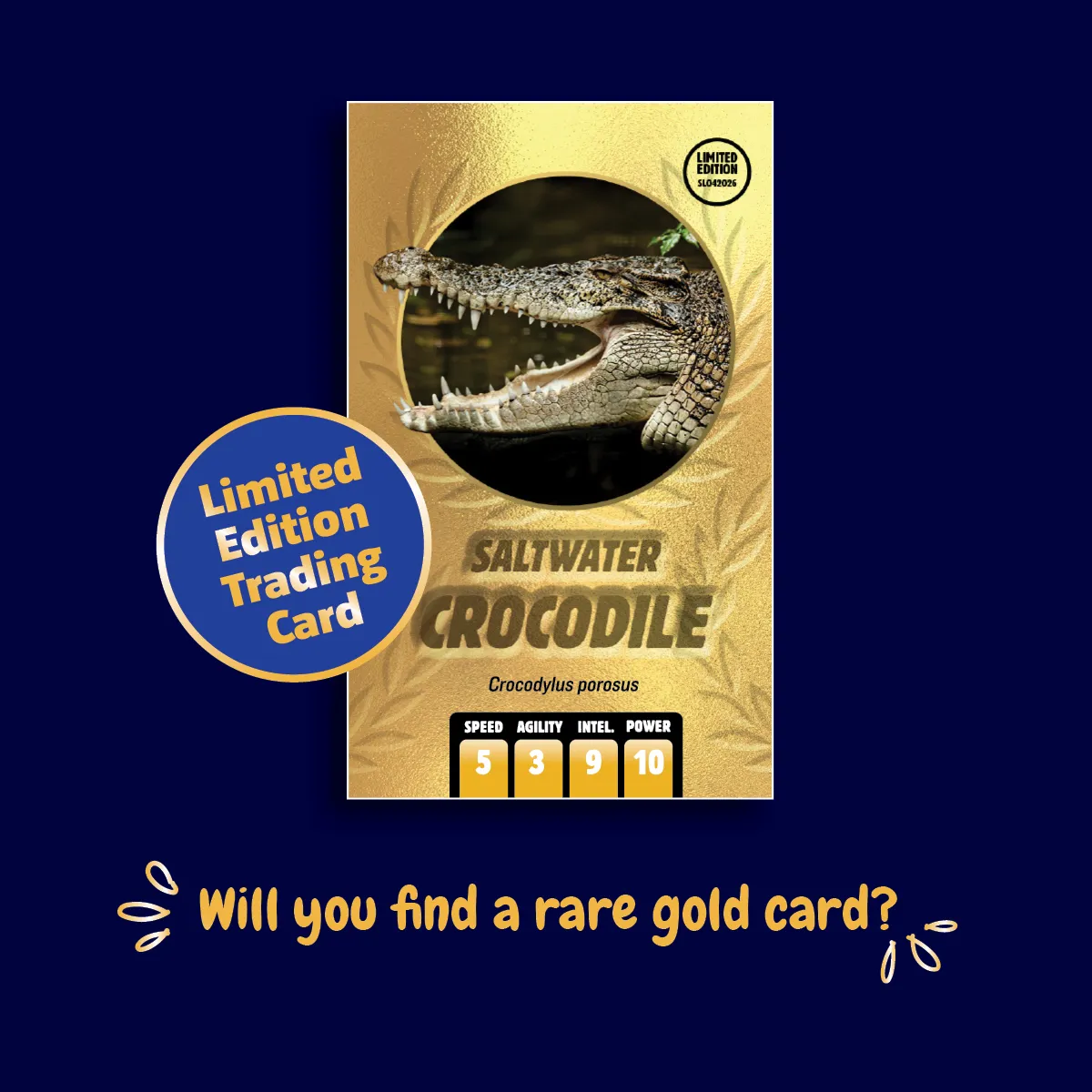 WEB Goldcard Assets MEL