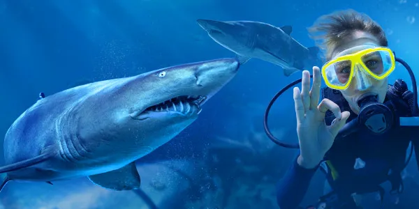 Shark Dive Xtreme Visual