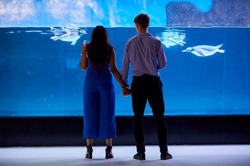 Date Night Ideas - Drink cocktails at SEA LIFE Melbourne