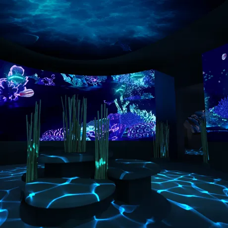 Artistimpression Projection 2250X1266