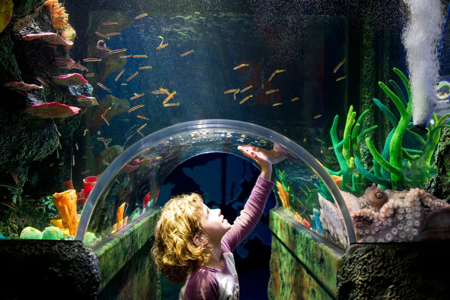 SEA LIFE Melbourne Aquarium