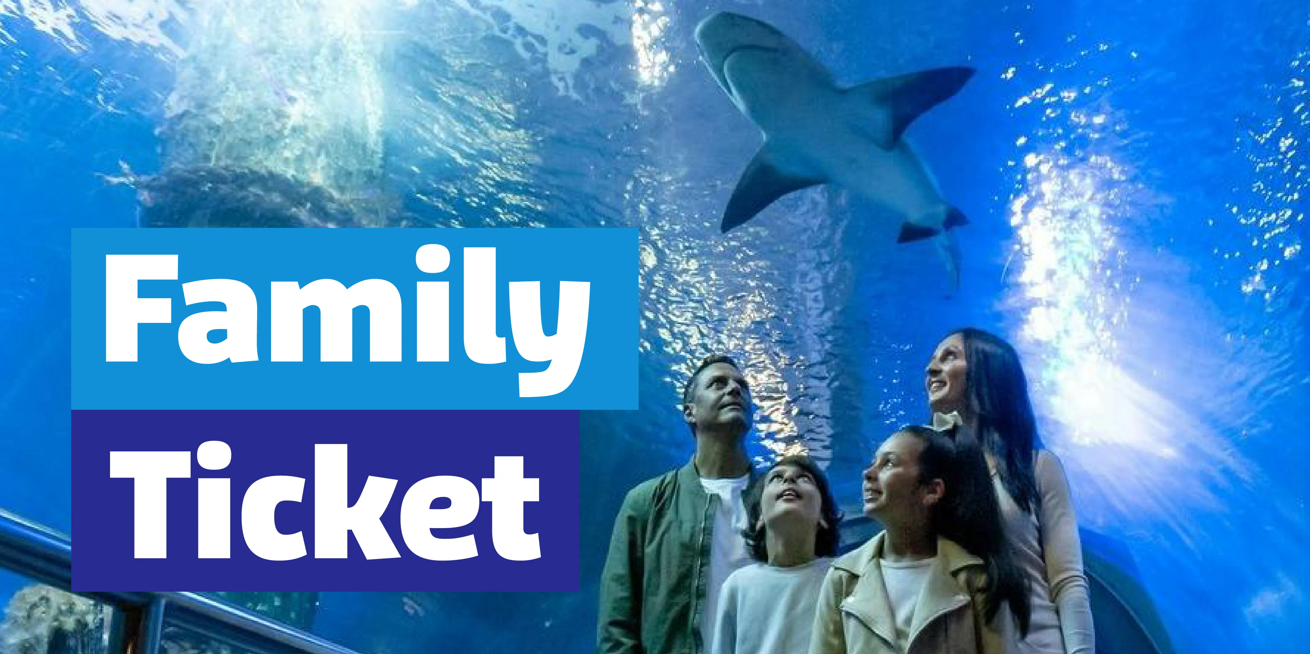 Family Ticket Artwork SLMA Web Asset Ticket Panel [1000X500px]