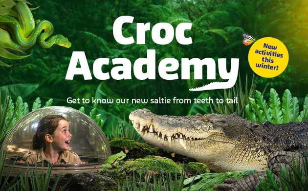 Crocacademy Fat Rectangle 630X390 No Logo