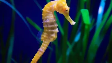 Untitled Design (7) (1)