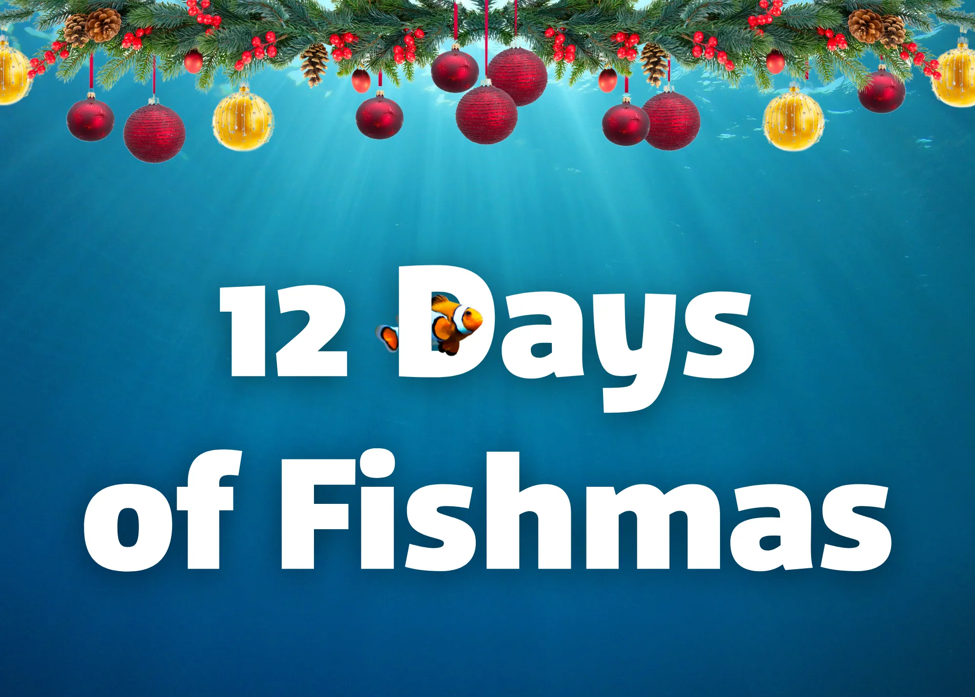 12 Days of Fishmas Giveaway