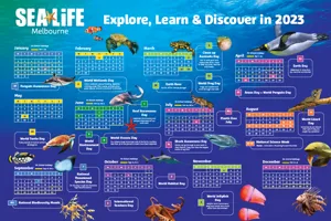 SLMA Calendar Screenshot