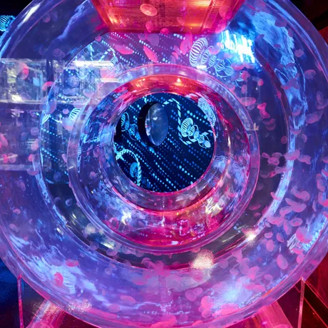 KH 111 Sealife 101219
