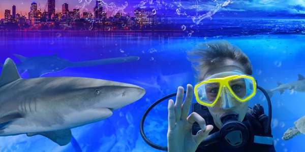 Meet Isabelle only at SEA LIFE Melbourne Aquarium