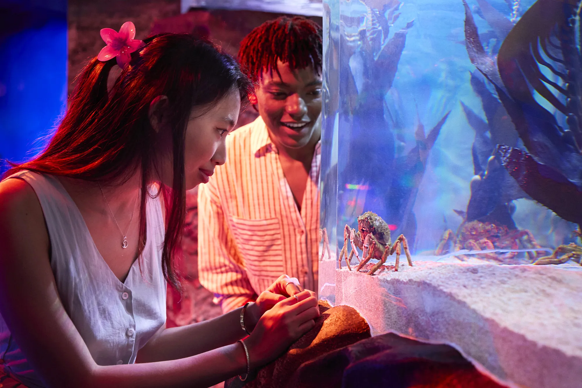 Rockpool Launch 013 KP 240925 Highlights
