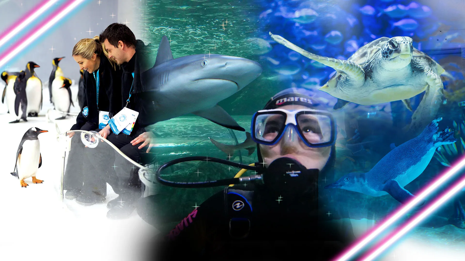 BF Frontpagehero 1920X1080px