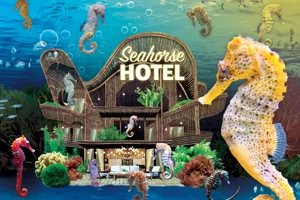 SEALIFE SEAHORSES Event Page Additional Image 1400X1000px