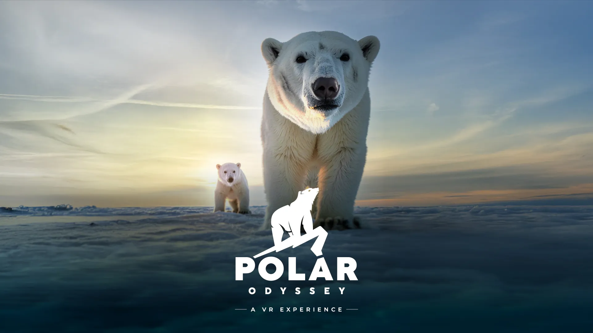 POLAR ODYSSEY ENGLISH DIGITAL SCREEN 1920 X 1080 2